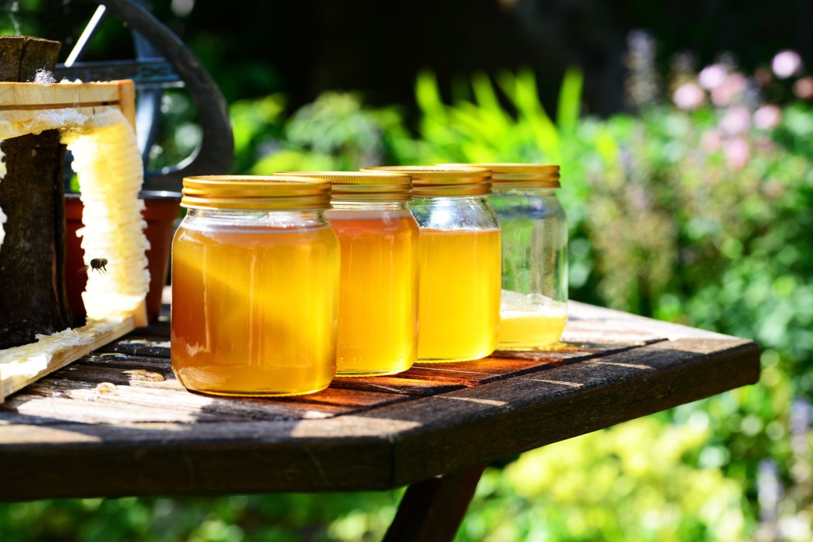 Raw herbal honey infused with medicinal herbs -- wholesale food-medicine homology honey from sustainable apiaries for natural wellness and OEM private label